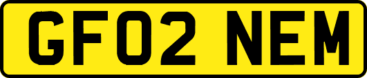 GF02NEM