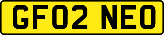 GF02NEO