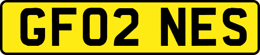 GF02NES