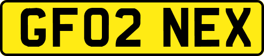 GF02NEX