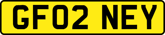 GF02NEY