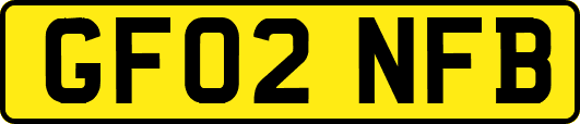 GF02NFB