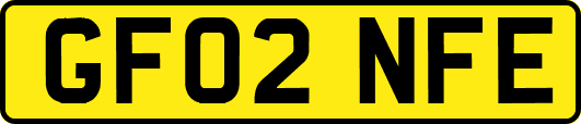GF02NFE