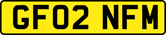GF02NFM