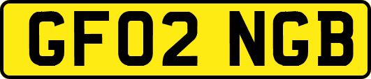 GF02NGB