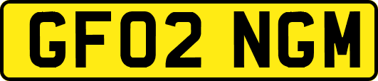 GF02NGM