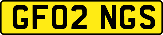 GF02NGS