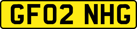 GF02NHG