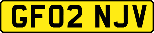 GF02NJV