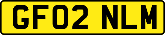 GF02NLM