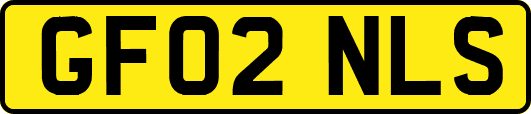 GF02NLS