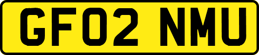 GF02NMU