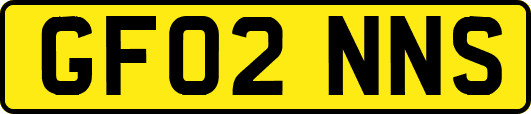 GF02NNS