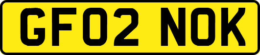 GF02NOK