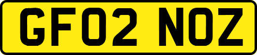 GF02NOZ
