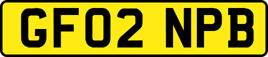 GF02NPB