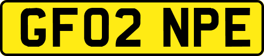 GF02NPE