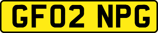 GF02NPG