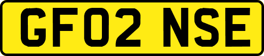GF02NSE