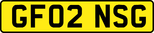 GF02NSG