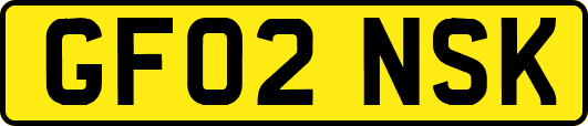 GF02NSK