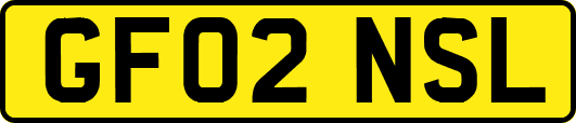 GF02NSL