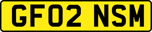 GF02NSM