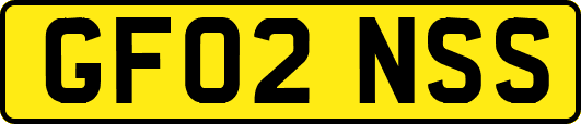 GF02NSS