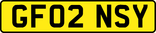 GF02NSY