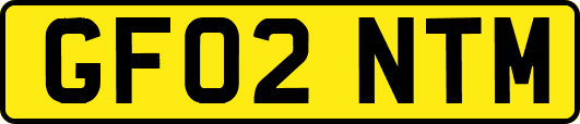 GF02NTM