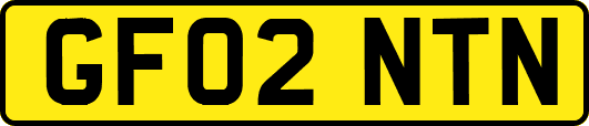 GF02NTN