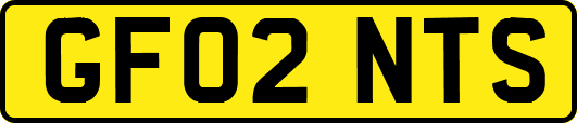 GF02NTS