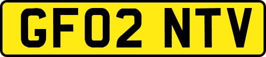 GF02NTV