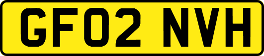 GF02NVH