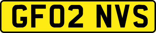GF02NVS