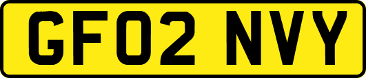 GF02NVY