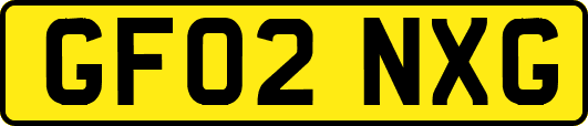 GF02NXG