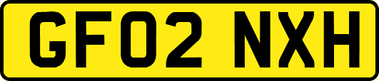 GF02NXH