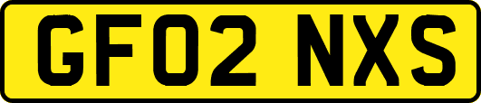 GF02NXS