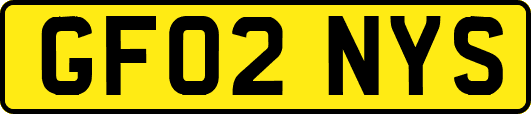 GF02NYS