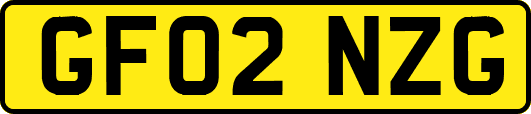 GF02NZG