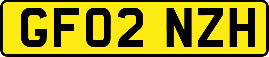 GF02NZH