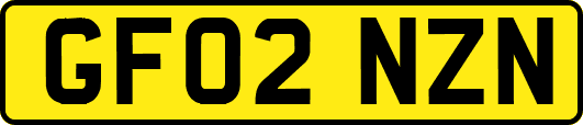 GF02NZN
