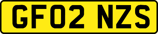 GF02NZS