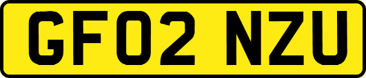 GF02NZU