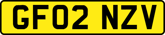 GF02NZV