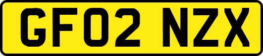 GF02NZX