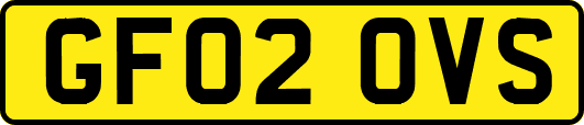 GF02OVS