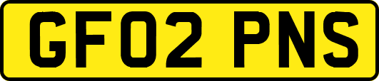 GF02PNS