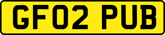 GF02PUB